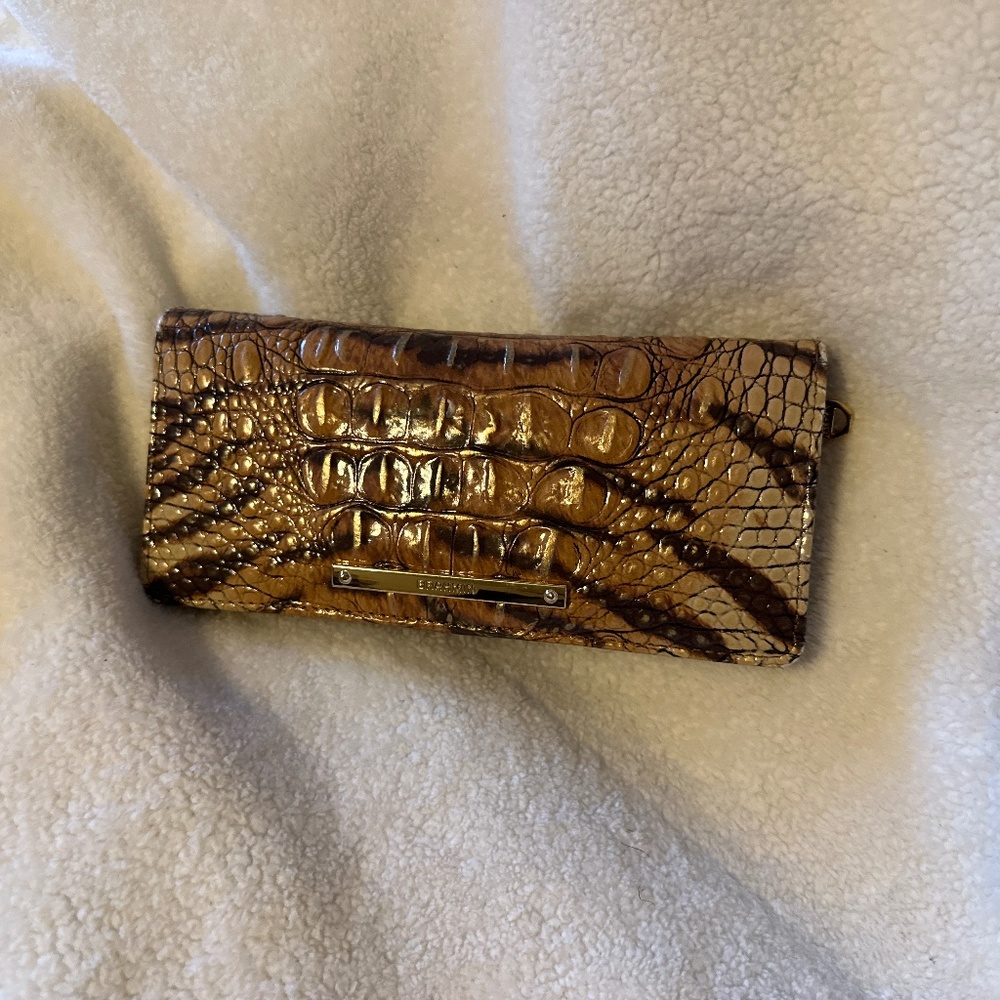 Brahmin Ady wallet